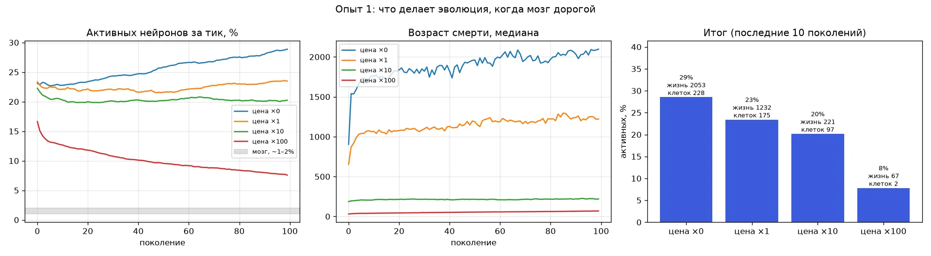 Что делает эволюция, когда мозг дорогой: бесплатный мозг становится плотнее, дорогой экономит только отказом от поведения